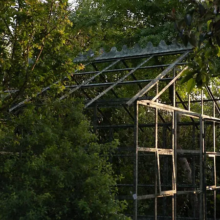 Quinta Do Luzio * Sintra